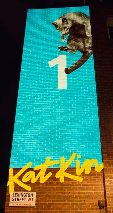 KatKin campaign photograph of an airborne cat projected onto a brick building beside a Lexington Street W1 sign in London.